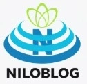  نقش فیزیوتراپی در نظام سلامت